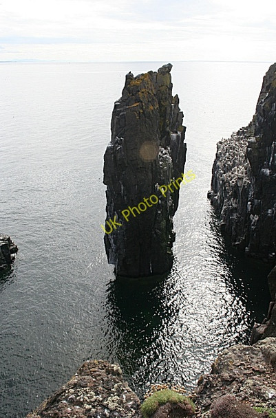 Photo 6"x4" Rock Stack Maiden Hair c2010