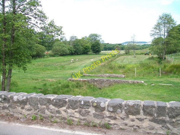 Photo 6"x4" The valley floor on the north side of Pont Rhyd-hir Efailnewydd c2010
