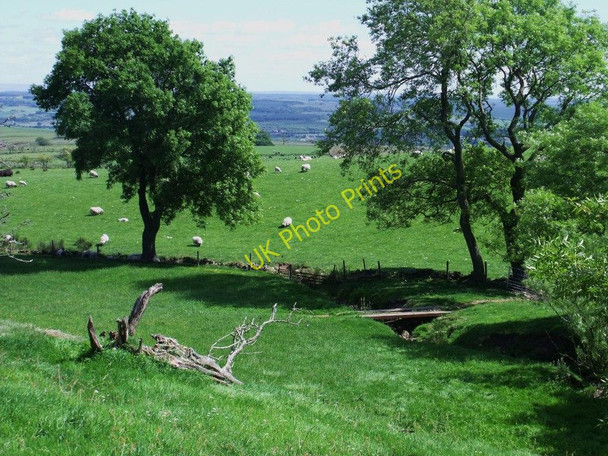 Photo 6"x4" The green fields of Leys Banton\/NS7579 c2010