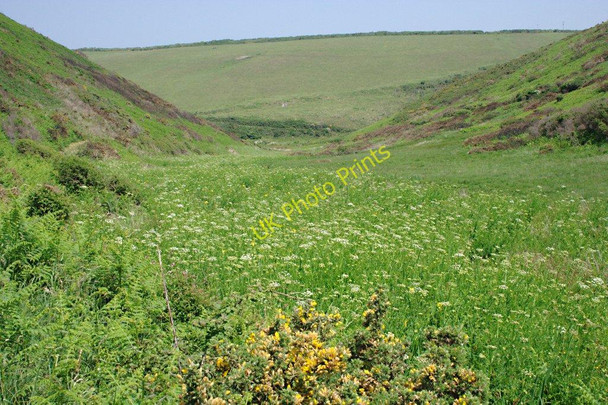Photo 6"x4" The valley behind Swansford Hill Milford\/SS2322 c2010