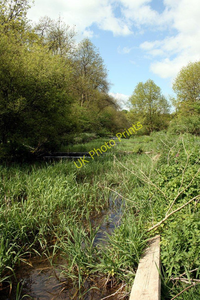 Photo 6"x4" Weirs on the River Lathkill, Derbyshire Bradford\/SK2164 c2008