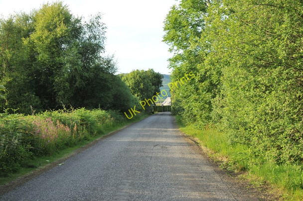 Photo 6"x4" Old Shore Road at Connel Connel c2010 P1