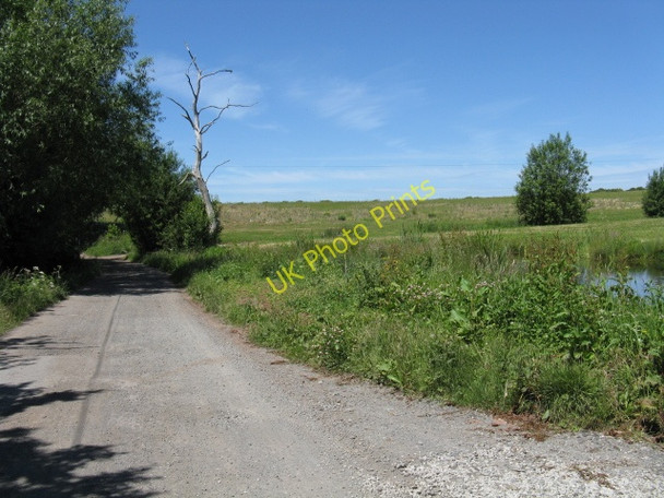 Photo 6"x4" Track to the River Severn Lineholt c2010