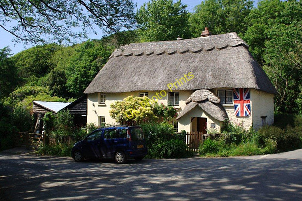 Photo 6"x4" Thatched Cottage at Lymebridge Milford\/SS2322 c2010