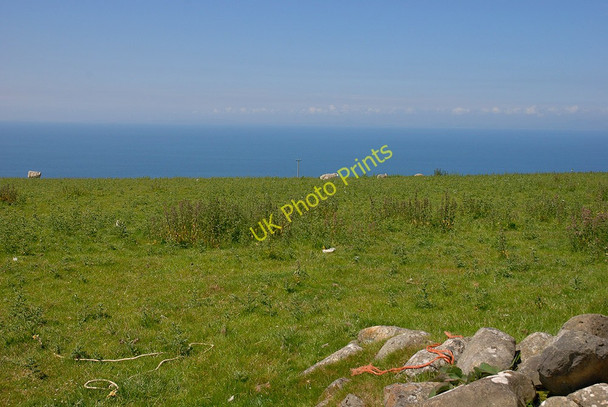 Photo 6"x4" Grazing with a sea view Hendre\/SH5909 c2010