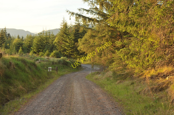 Photo 6"x4" Forest road in Barcaldine Forest near the junction with the public road Barcaldine c2010