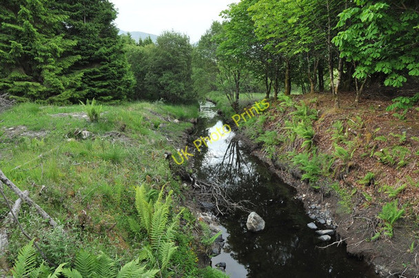 Photo 6"x4" Kilchrenan Burn Ballimore\/NN0525 c2010