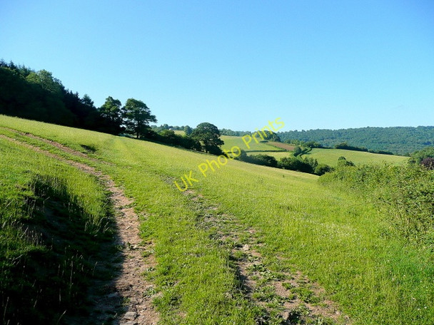 Photo 6"x4" Leys Hill Mork c2010