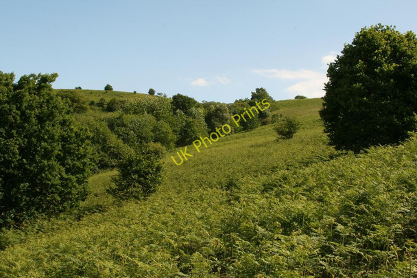 Photo 6"x4" East Twin Brook upper valley Langford Green\/ST4759 c2010