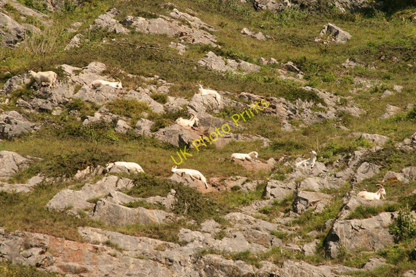 Photo 6"x4" How Rocky is My Valley Langford Green\/ST4759 c2010