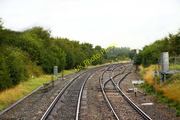 Photo 6"x4" Approaching Abbotswood Junction Littleworth\/SO8849 c2009