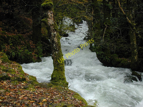 Photo 6"x4" Nant Cadair in spate Dol-ffanog c2000 P1