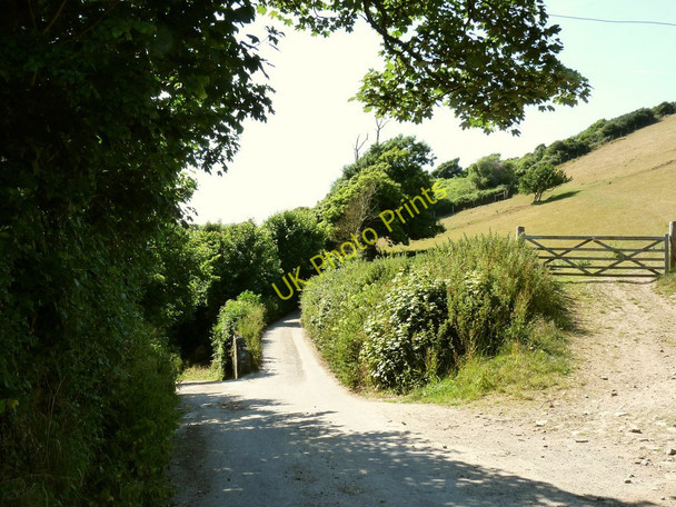 Photo 6"x4" The road to Lobb and North Lobb at the entrance to Fairlinch Farm Lobb c2010