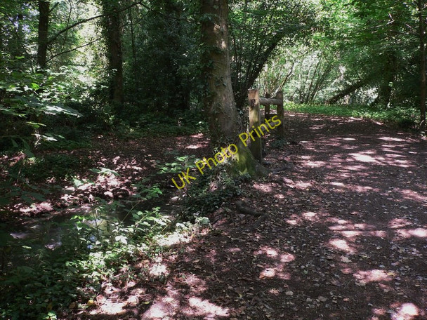 Photo 6"x4" Bridge by footpath at Chilworth Chilworth\/TQ0247 c2010