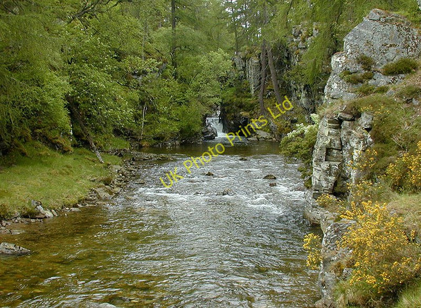 Photo 6"x4" Below the Linn of Quoich Allanaquoich c2000