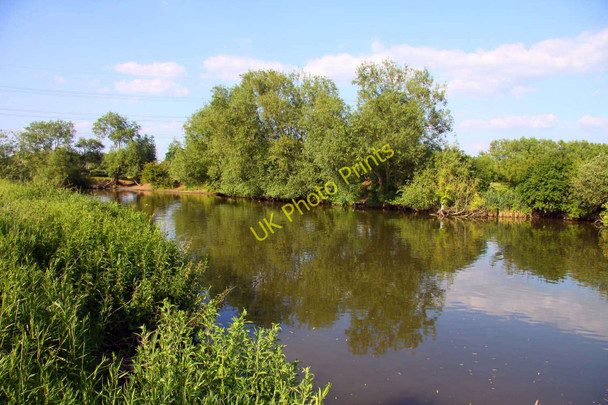 Photo 6"x4" Looking up the Thames Sandford-on-Thames c2010