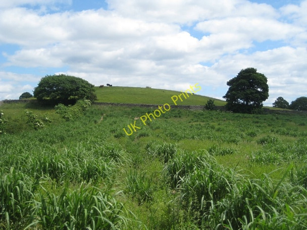 Photo 6"x4" Public footpath, Heath Common (7) Normanton\/SE3822 c2010