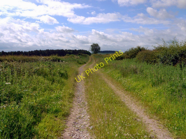 Photo 6"x4" Track to Blinkbonny Crookham\/NT9138 c2010