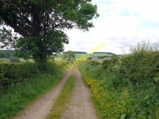 Photo 6"x4" Track to Blinkbonny Crookham\/NT9138 c2010
