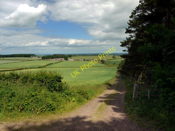 Photo 6"x4" Track junction north of Flodden Hill West Flodden c2010