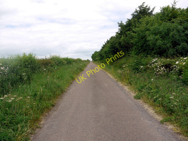 Photo 6"x4" Minor Road to Branxton Branxton\/NT8937 c2010