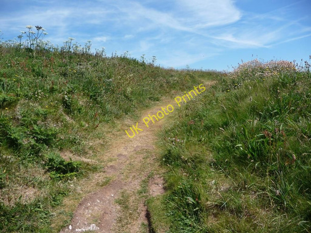 Photo 6"x4" Path to the summit of Burgh Island Bigbury-on-Sea c2010