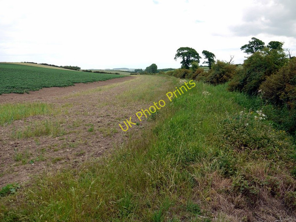 Photo 6"x4" Valley at the centre of the Battle of Flodden Field Branxton\/NT8937 c2010