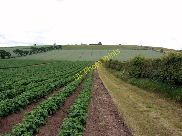 Photo 6"x4" The Flodden Battlefield Trail Branxton\/NT8937 c2010
