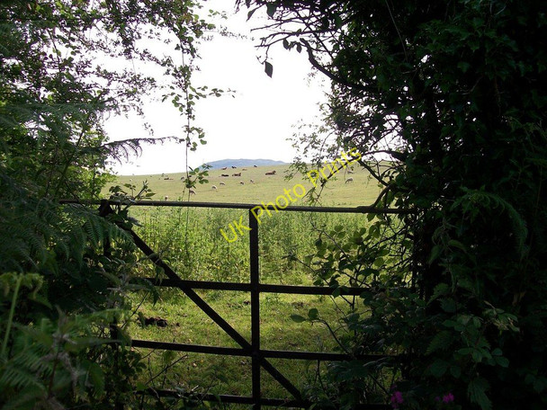 Photo 6"x4" Sheep pastures near Ceidio Church Edern c2010
