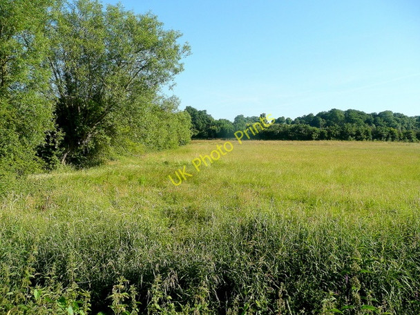 Photo 6"x4" Coombe Hill Nature Reserve Norton\/SO8524 c2010