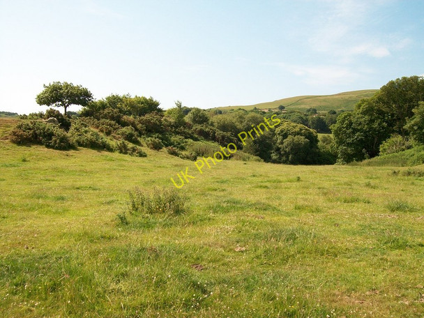 Photo 6"x4" Wooded hollow above Mochras  Boduan c2010