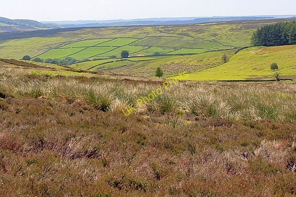 Photo 6"x4" Lower Bransdale Cockayne c2010