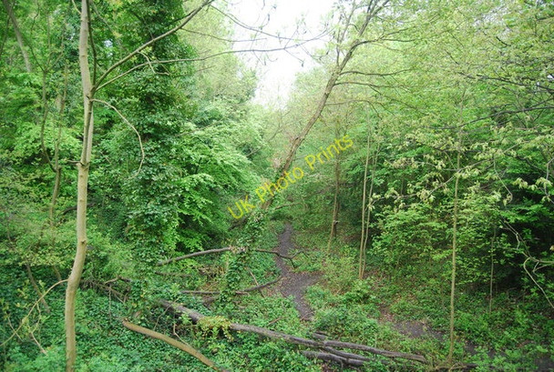 Photo 6"x4" Dismantled railway, Sydenham Hill Penge c2010