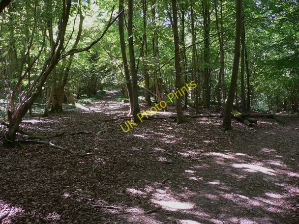 Photo 6"x4" Meeting of byways on Linch Down Bepton c2010