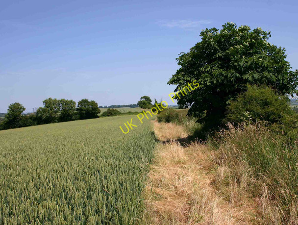 Photo 6"x4" Footpath to Honington Shipston-on-Stour c2010