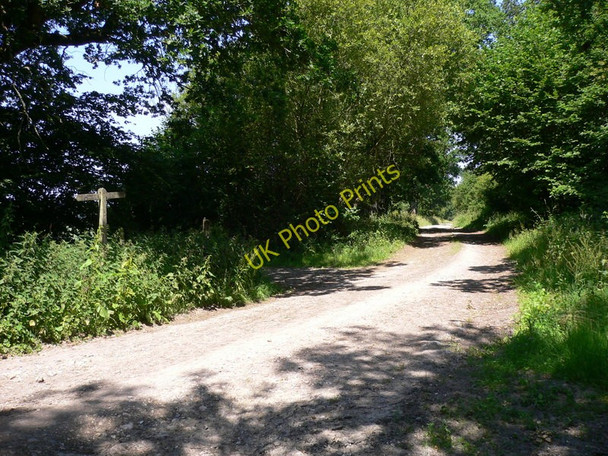 Photo 6"x4" Footpath north of Bepton Bepton c2010