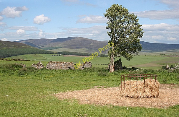 Photo 6"x4" Ruin at Braeval Clashnoir c2010