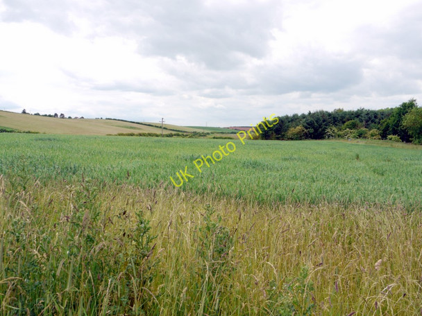 Photo 6"x4" Field north-east of Branxton Crookham\/NT9138 c2010