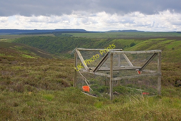 Photo 6"x4" Larsen Trap, Jugger Howe Moor Jugger How Moor c2010