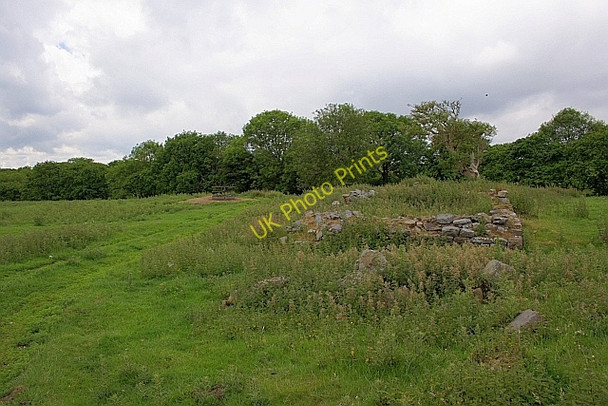 Photo 6"x4" Ruin of Farmstead, Helwath Beck Ravenscar c2010