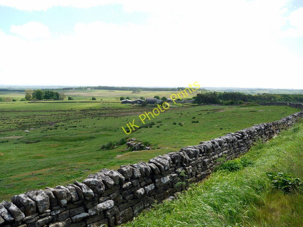 Photo 6"x4" Rough pasture north of Rothley Shield East Rothley Lakes c2010