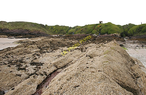 Photo 6"x4" Devonian Red Sandstone Strata Brynrefail\/SH4886 c2010