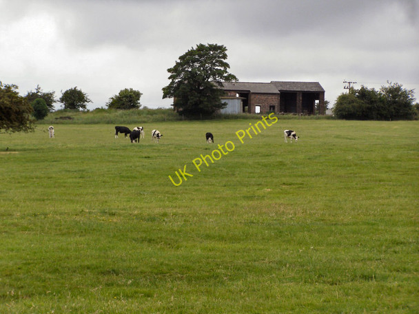 Photo 6"x4" Unsworth Moss Farm Whitefield\/SD8106 c2010