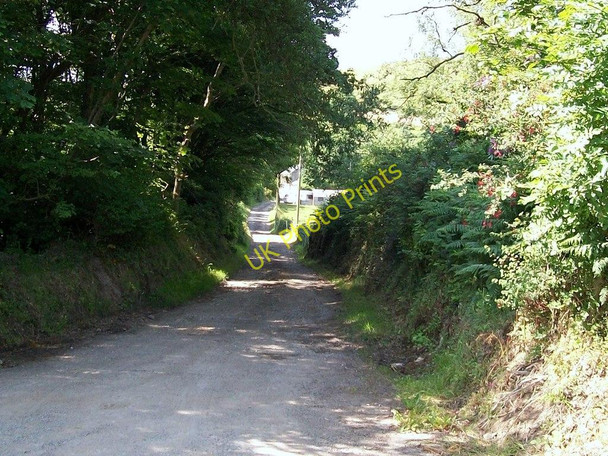 Photo 6"x4" Lane to Cors yr Hafod Garnfadryn c2010