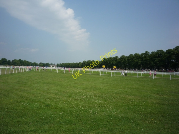 Photo 6"x4" Across the Knavesmire York\/SE5951 c2010