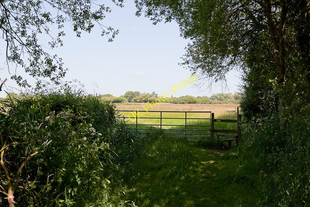 Photo 6"x4" Avon Valley Path Ringwood\/SU1505 c2010 P1