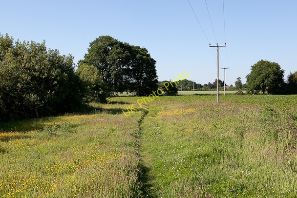 Photo 6"x4" Avon Valley Path at Kingston Kingston\/SU1402 c2010
