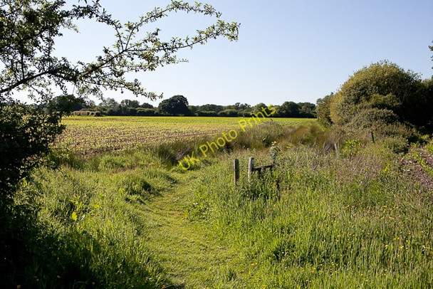 Photo 6"x4" Avon Valley Path at Kingston Kingston\/SU1402 c2010 P1