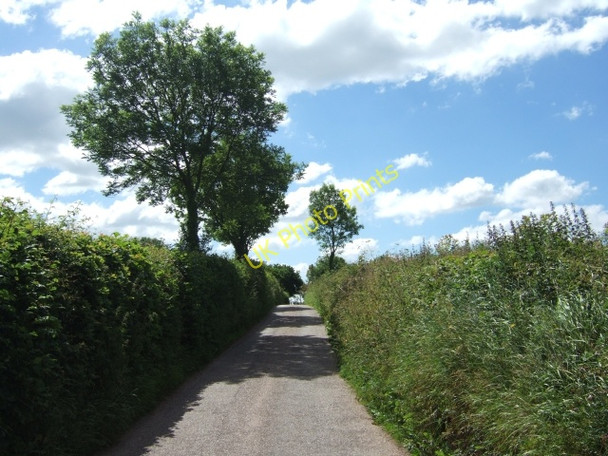 Photo 6"x4" Road to Cheriton Fitzpaine Cheriton Fitzpaine c2010