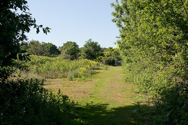 Photo 6"x4" Avon Valley Path south of Kingston North Common Kingston\/SU1402 c2010